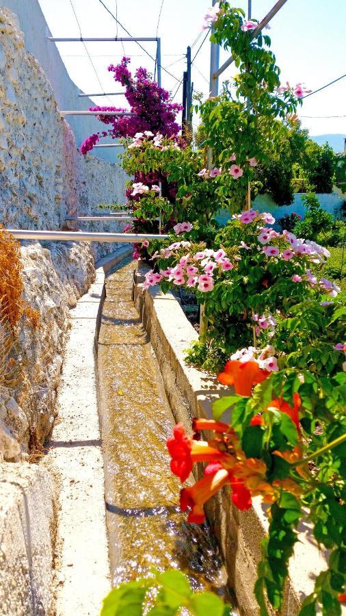 Villa Adelaida 오르히바 외부 사진